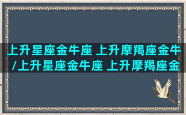 上升星座金牛座 上升摩羯座金牛/上升星座金牛座 上升摩羯座金牛-我的网站